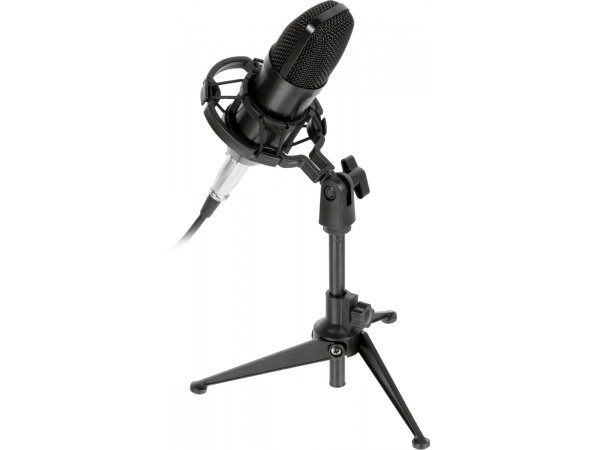 Микрофон Ritmix RDM-160 черный