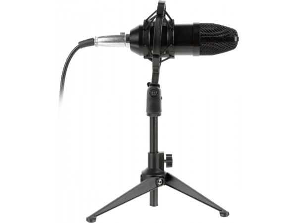 Микрофон Ritmix RDM-160 черный