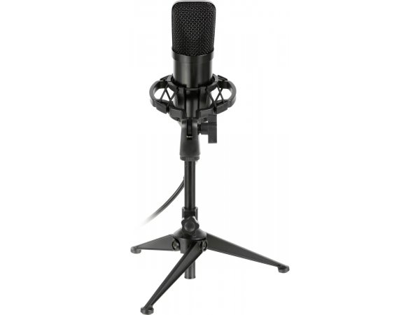 Микрофон Ritmix RDM-160 черный