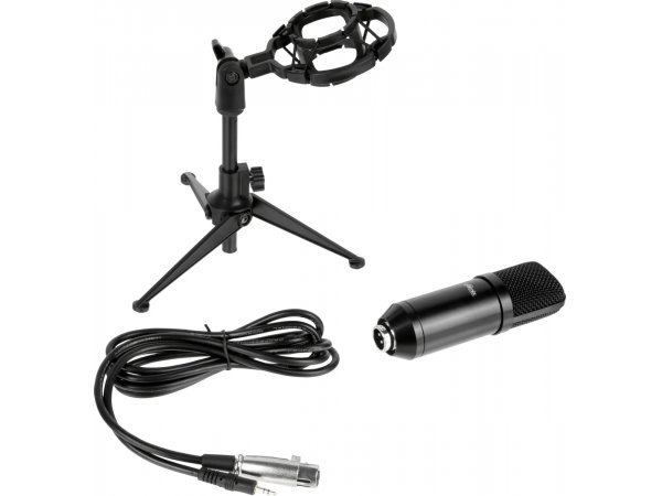 Микрофон Ritmix RDM-160 черный
