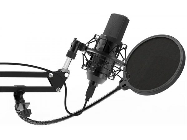 Микрофон Ritmix RDM-169 черный Микрофон Ritmix RDM-169 черный