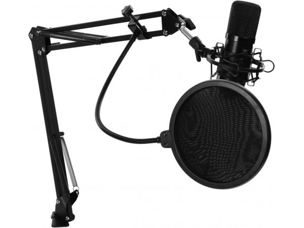 Микрофон Ritmix RDM-169 черный Микрофон Ritmix RDM-169 черный