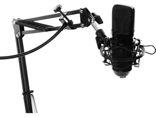 Микрофон Ritmix RDM-169 черный Микрофон Ritmix RDM-169 черный
