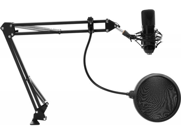 Микрофон Ritmix RDM-169 черный Микрофон Ritmix RDM-169 черный