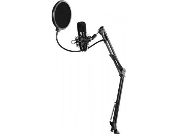 Микрофон Ritmix RDM-169 черный Микрофон Ritmix RDM-169 черный