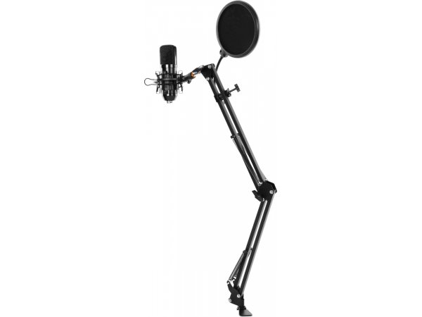 Микрофон Ritmix RDM-169 черный Микрофон Ritmix RDM-169 черный