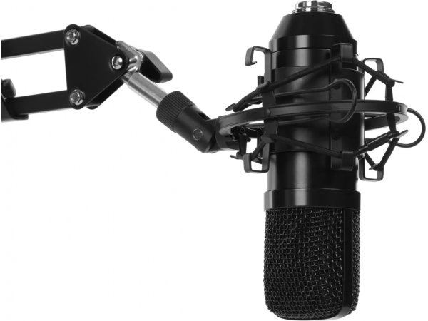 Микрофон Ritmix RDM-169 черный Микрофон Ritmix RDM-169 черный