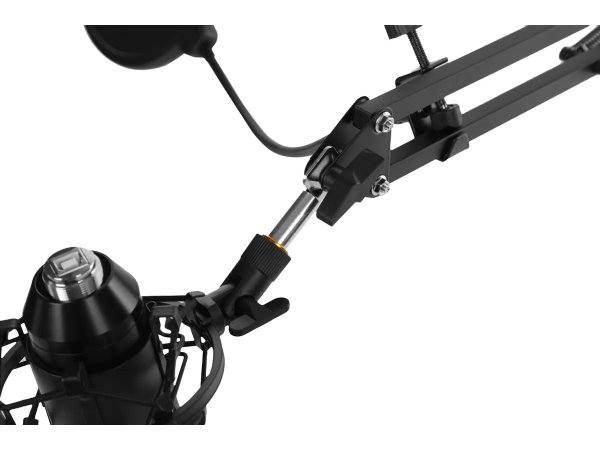 Микрофон Ritmix RDM-169 черный Микрофон Ritmix RDM-169 черный