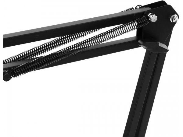 Микрофон Ritmix RDM-169 черный Микрофон Ritmix RDM-169 черный