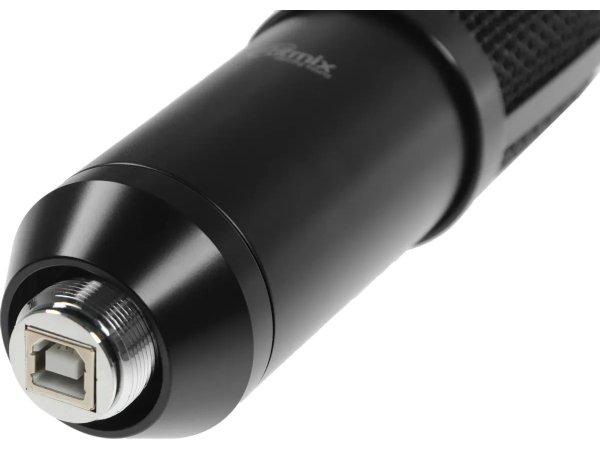 Микрофон Ritmix RDM-169 черный Микрофон Ritmix RDM-169 черный