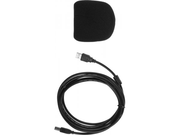 Микрофон Ritmix RDM-169 черный Микрофон Ritmix RDM-169 черный