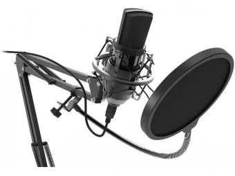 Микрофон Ritmix RDM-169 черный