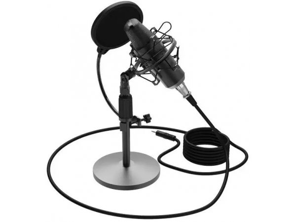 Микрофон Ritmix RDM-175 черный Микрофон Ritmix RDM-175 черный