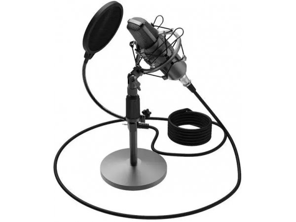 Микрофон Ritmix RDM-175 черный Микрофон Ritmix RDM-175 черный