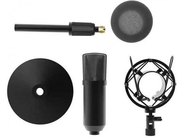 Микрофон Ritmix RDM-175 черный Микрофон Ritmix RDM-175 черный