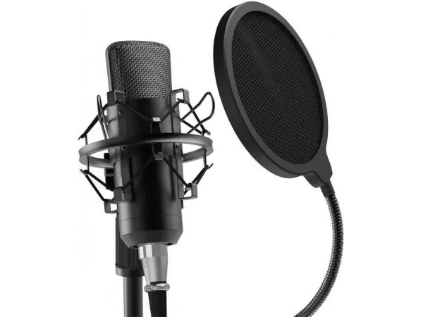 Микрофон Ritmix RDM-175 черный Микрофон Ritmix RDM-175 черный