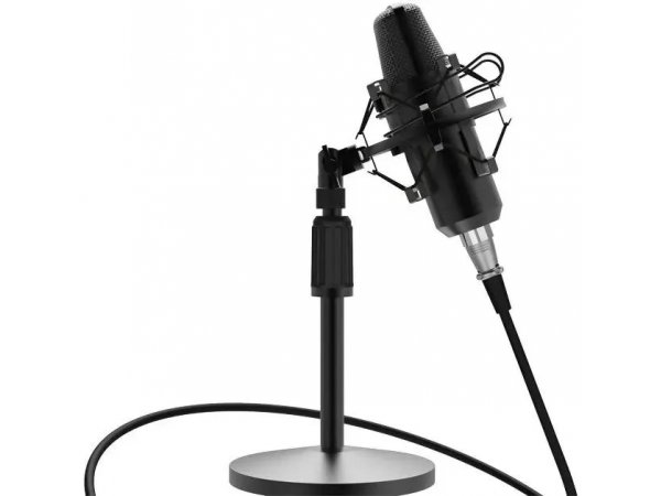 Микрофон Ritmix RDM-175 черный Микрофон Ritmix RDM-175 черный