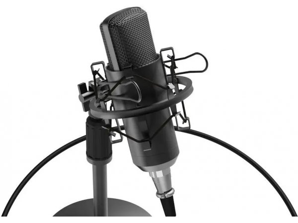 Микрофон Ritmix RDM-175 черный Микрофон Ritmix RDM-175 черный