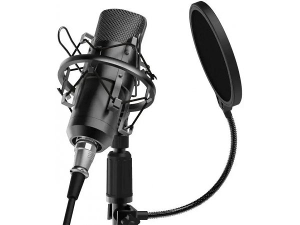 Микрофон Ritmix RDM-175 черный Микрофон Ritmix RDM-175 черный
