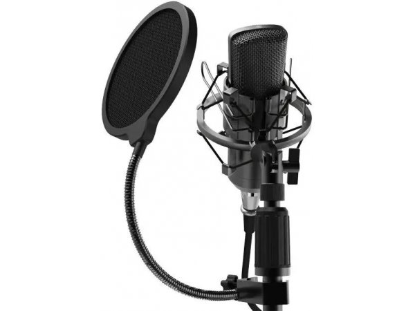 Микрофон Ritmix RDM-175 черный Микрофон Ritmix RDM-175 черный
