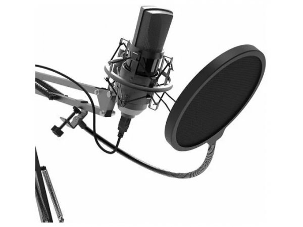 Микрофон Ritmix RDM-180 черный