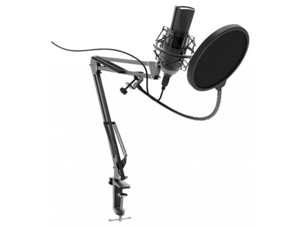 Микрофон Ritmix RDM-180 черный