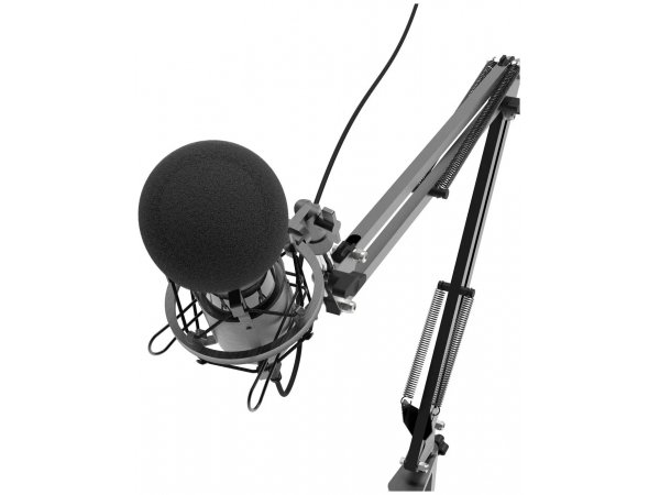 Микрофон Ritmix RDM-180 черный