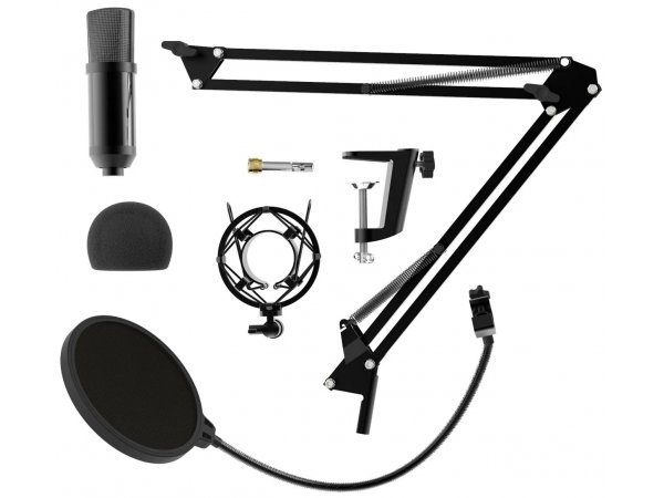 Микрофон Ritmix RDM-180 черный