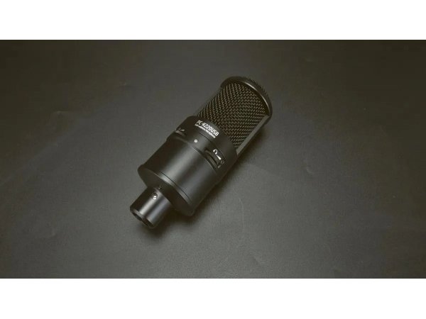 Микрофон Takstar PC-K220USB черный