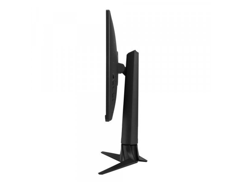 Монитор Asus XG249CM Монитор Asus XG249CM