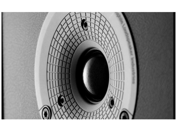 Полочная акустическая система DALI SPEKTOR 1 White Полочная акустическая система DALI SPEKTOR 1 White