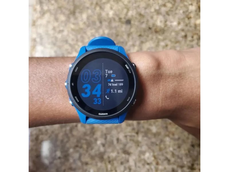 Смарт-часы Garmin Forerunner 255 33мм синий/черный [010-02641-11]