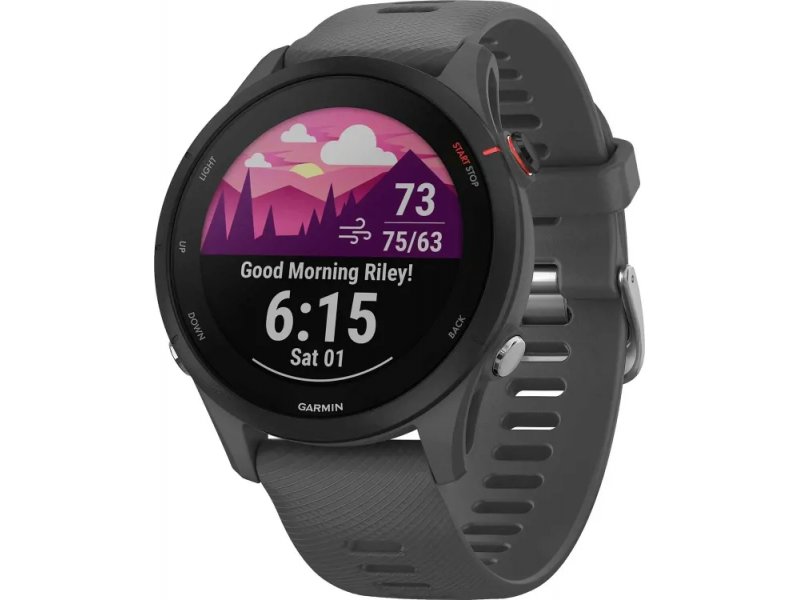 Смарт-часы Garmin Forerunner 255 33мм темно-серый/черный [010-02641-10]