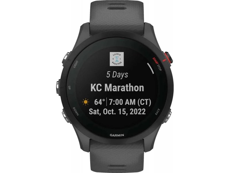 Смарт-часы Garmin Forerunner 255 33мм темно-серый/черный [010-02641-10]