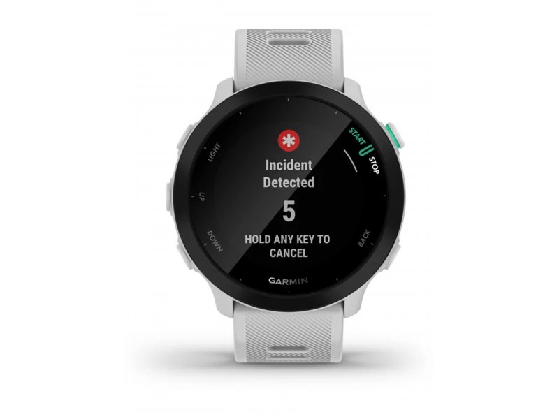 Смарт-часы Garmin Forerunner 55 42mm белый [010-02562-11]