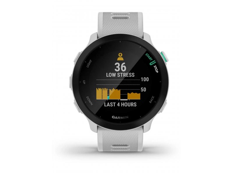 Смарт-часы Garmin Forerunner 55 42mm белый [010-02562-11]
