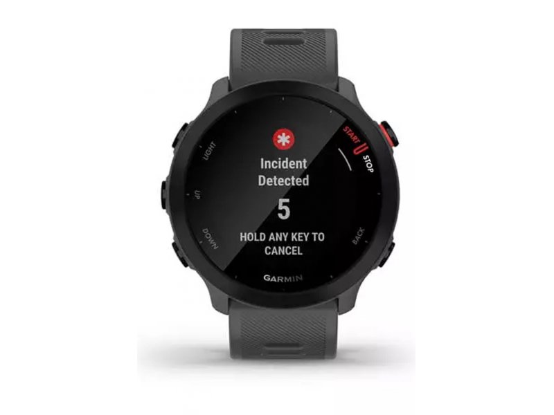 Смарт-часы Garmin Forerunner 55 42mm серый [010-02562-13]