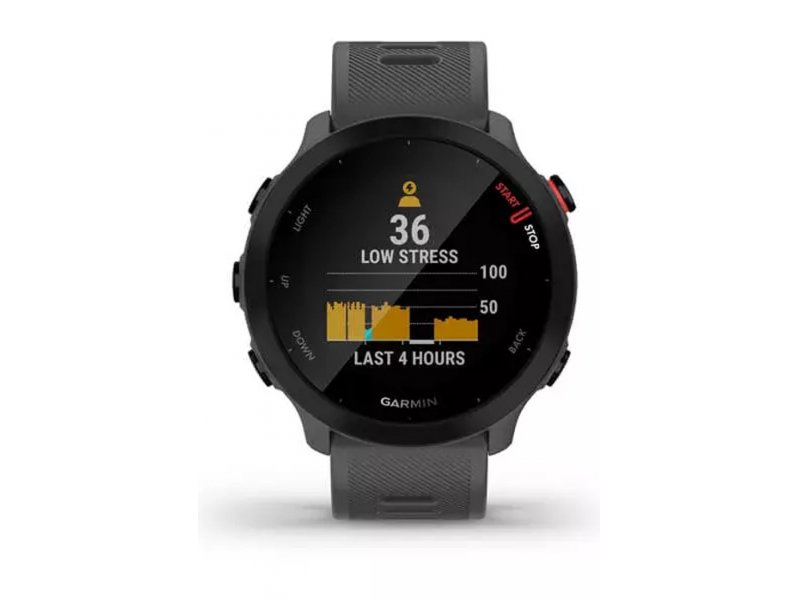 Смарт-часы Garmin Forerunner 55 42mm серый [010-02562-13]