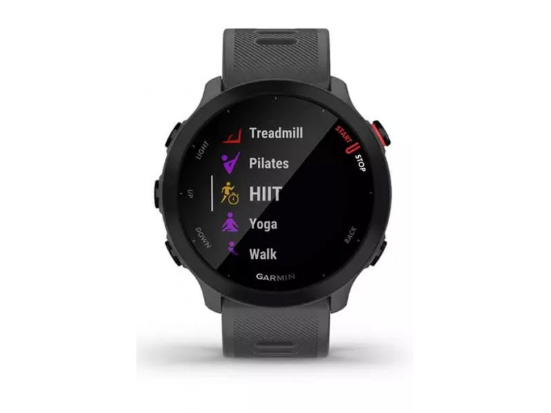 Смарт-часы Garmin Forerunner 55 42mm серый [010-02562-13]