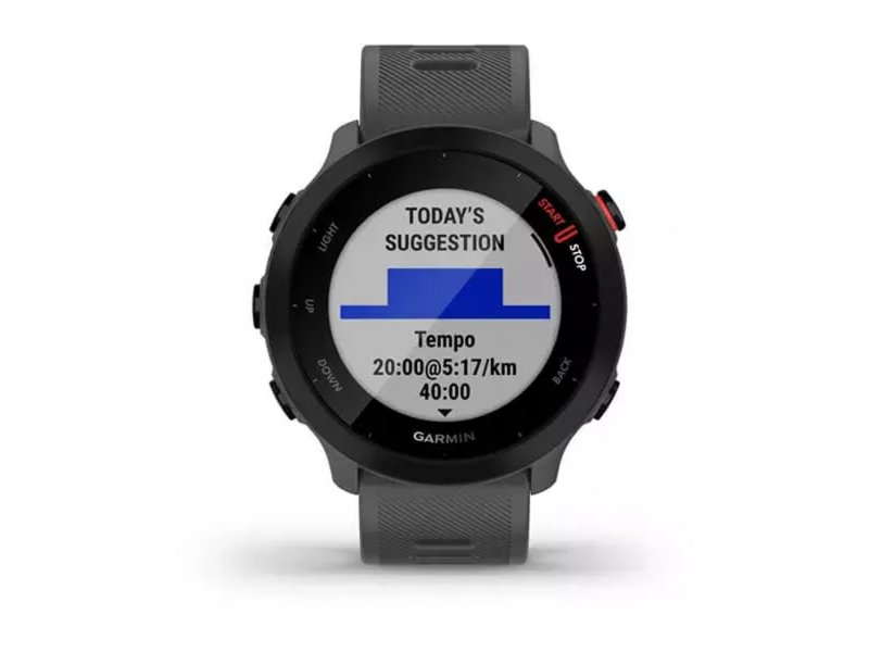 Смарт-часы Garmin Forerunner 55 42mm серый [010-02562-13]