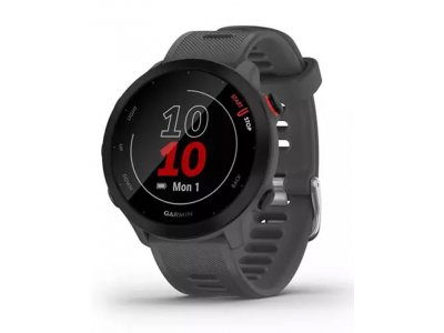 Смарт-часы Garmin Forerunner 55 42mm серый [010-02562-13]