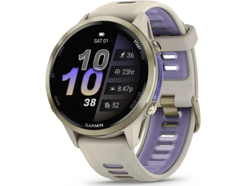 Смарт-часы Garmin Forerunner 970 47mm серый/синий [010-02969-12]