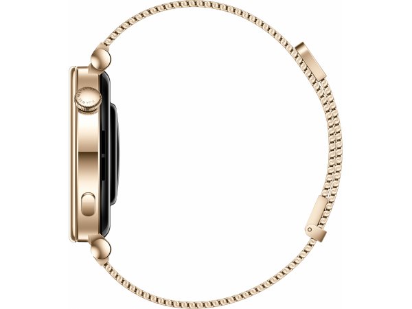 Смарт-часы Huawei Watch GT 4 41mm Gold Milanese Strap (Aurora-B19M) Смарт-часы Huawei Watch GT 4 41mm Gold Milanese Strap (Aurora-B19M)