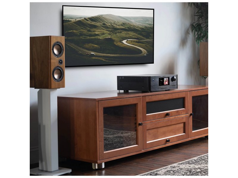 Интегральный усилитель Rotel RAS-5000 Black Интегральный усилитель Rotel RAS-5000 Black