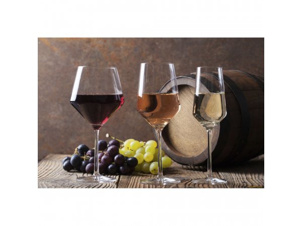 Винный шкаф Caso WineComfort 66 Silver Винный шкаф Caso WineComfort 66 Silver