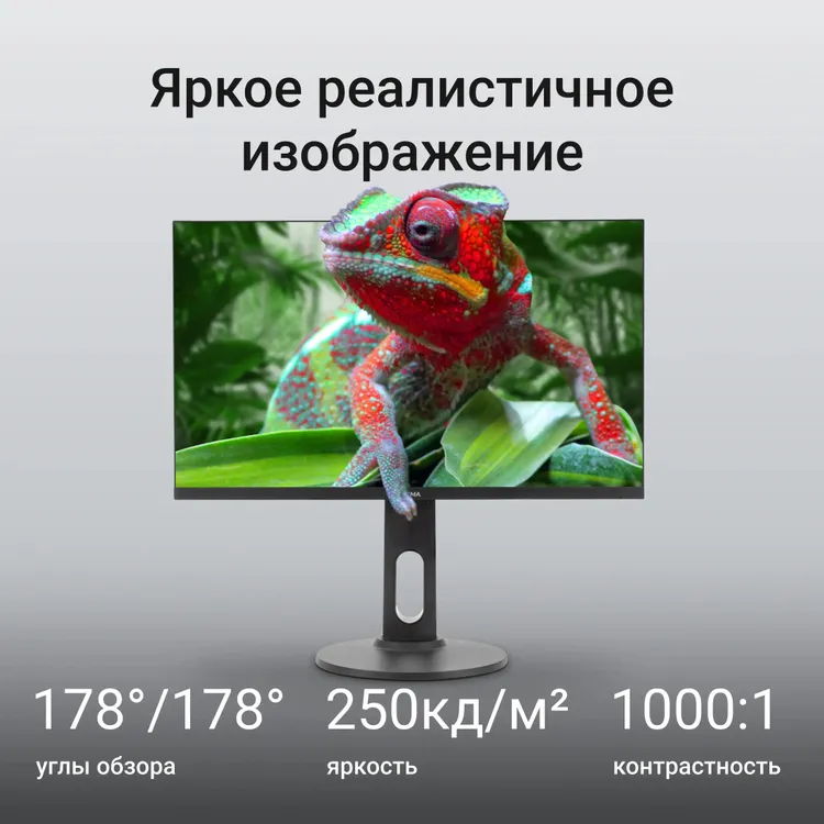 Digma Progress 24P505F демонстрация яркого изображения хамелеона, углы обзора 178&deg;, яркость 250 кд/м&sup2;, контрастность 1000:1