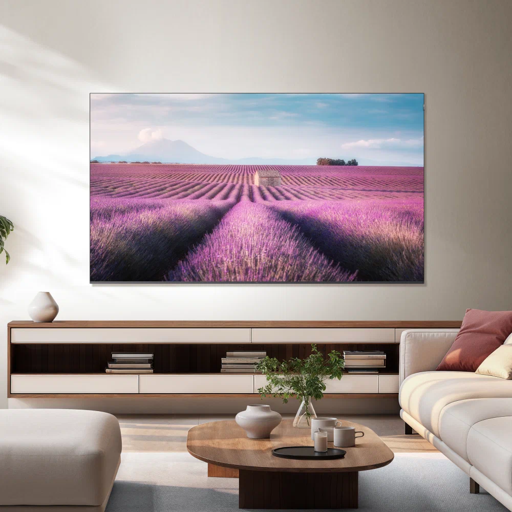 TCL 85C6K &mdash; функциональные возможности и разъёмы