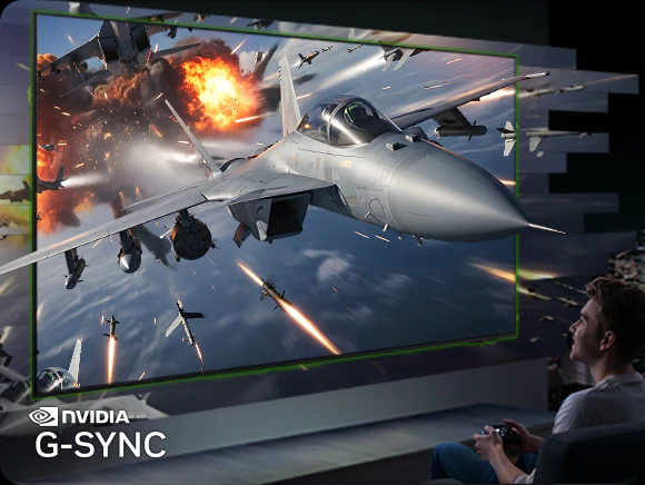 Samsung QE48S90H NVIDIA G-Sync — мужчина играет в игру с воздушными боями