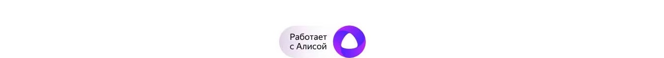 LG TW4V9RW9E логотип Яндекс Алиса голосовое управление стиральной машиной
