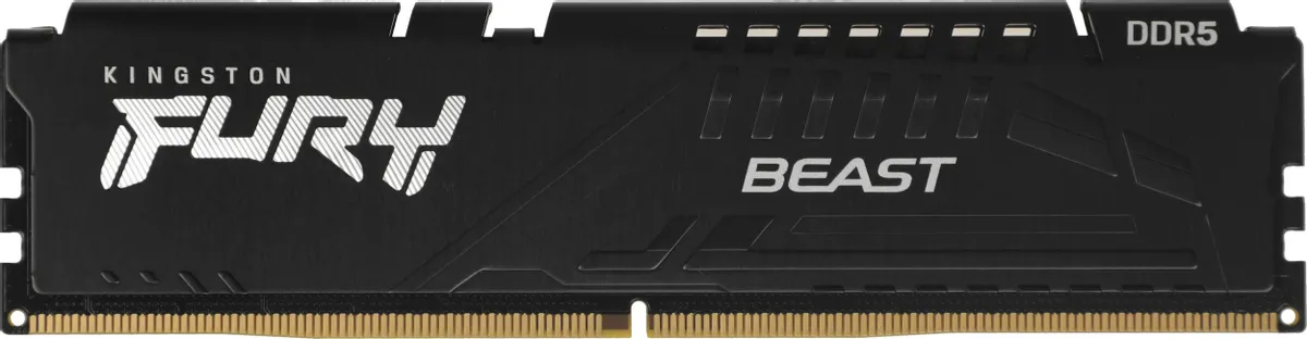 Kingston FURY Beast DDR5 KF560C40BBK4-64 один модуль крупный план золотые контакты 288 пин